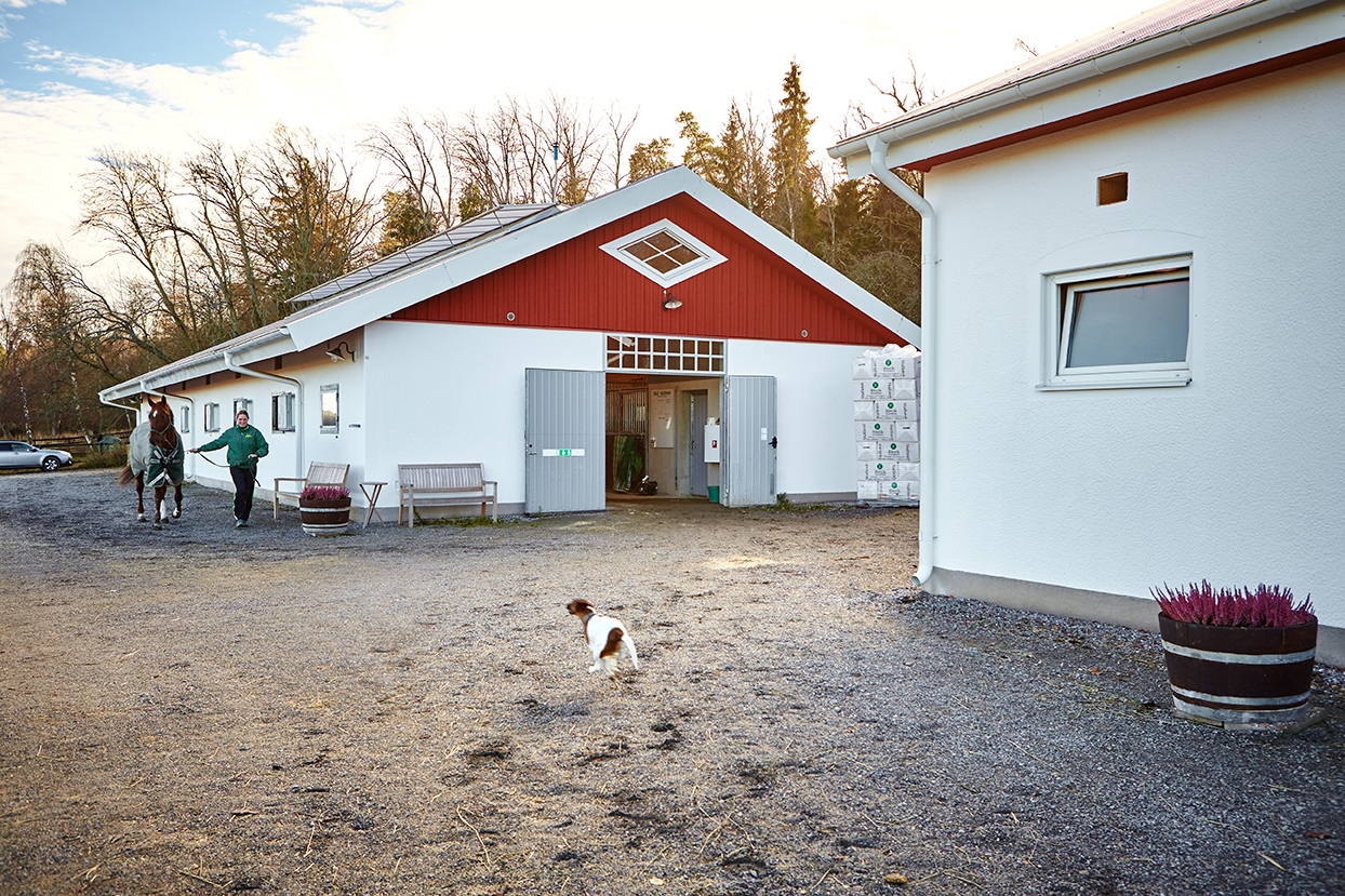 Stall, Menhammar